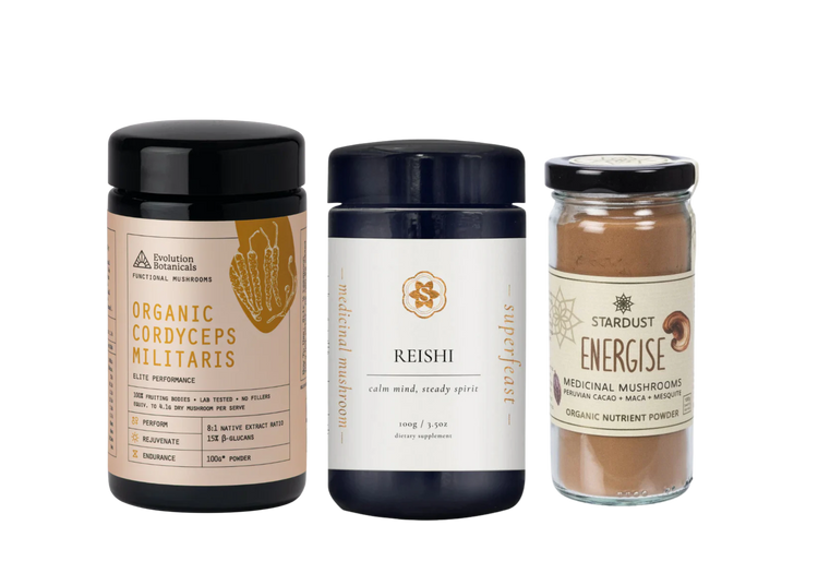 Medicinal Mushrooms
