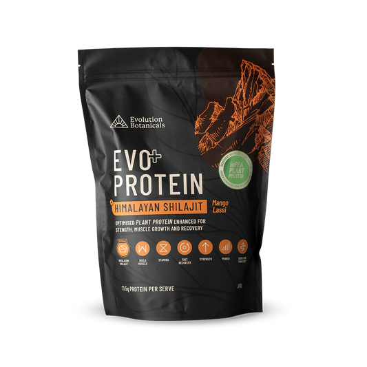 Evolution Botanicals Evo+ Protein Himalayan Shilajit Mango Lassi 900G